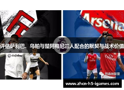 评估萨利巴、乌帕与楚阿梅尼三人配合的默契与战术价值