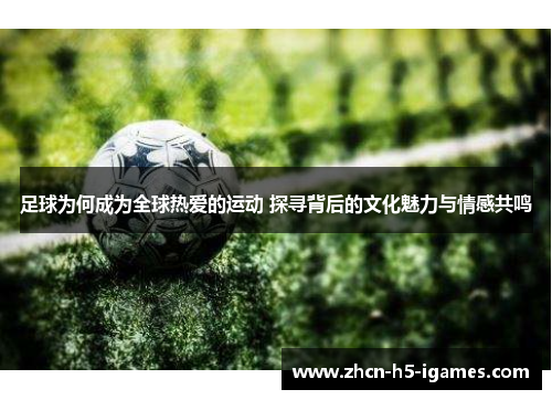 足球为何成为全球热爱的运动 探寻背后的文化魅力与情感共鸣 足球为何成为全球热爱的运动 探寻背后的文化魅力与情感共鸣
